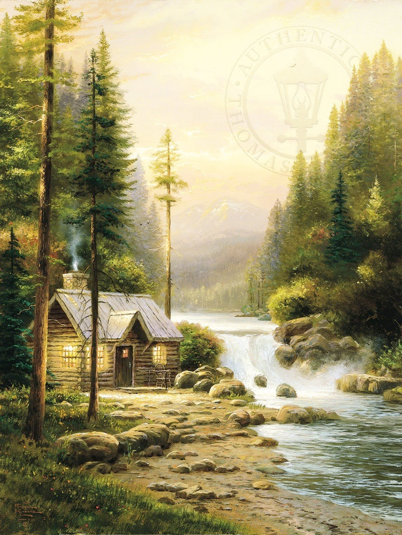 Evening in the Forest