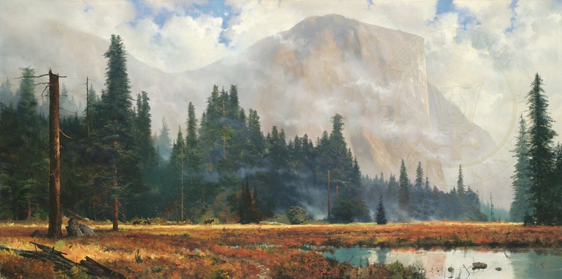 Yosemite Meadow
