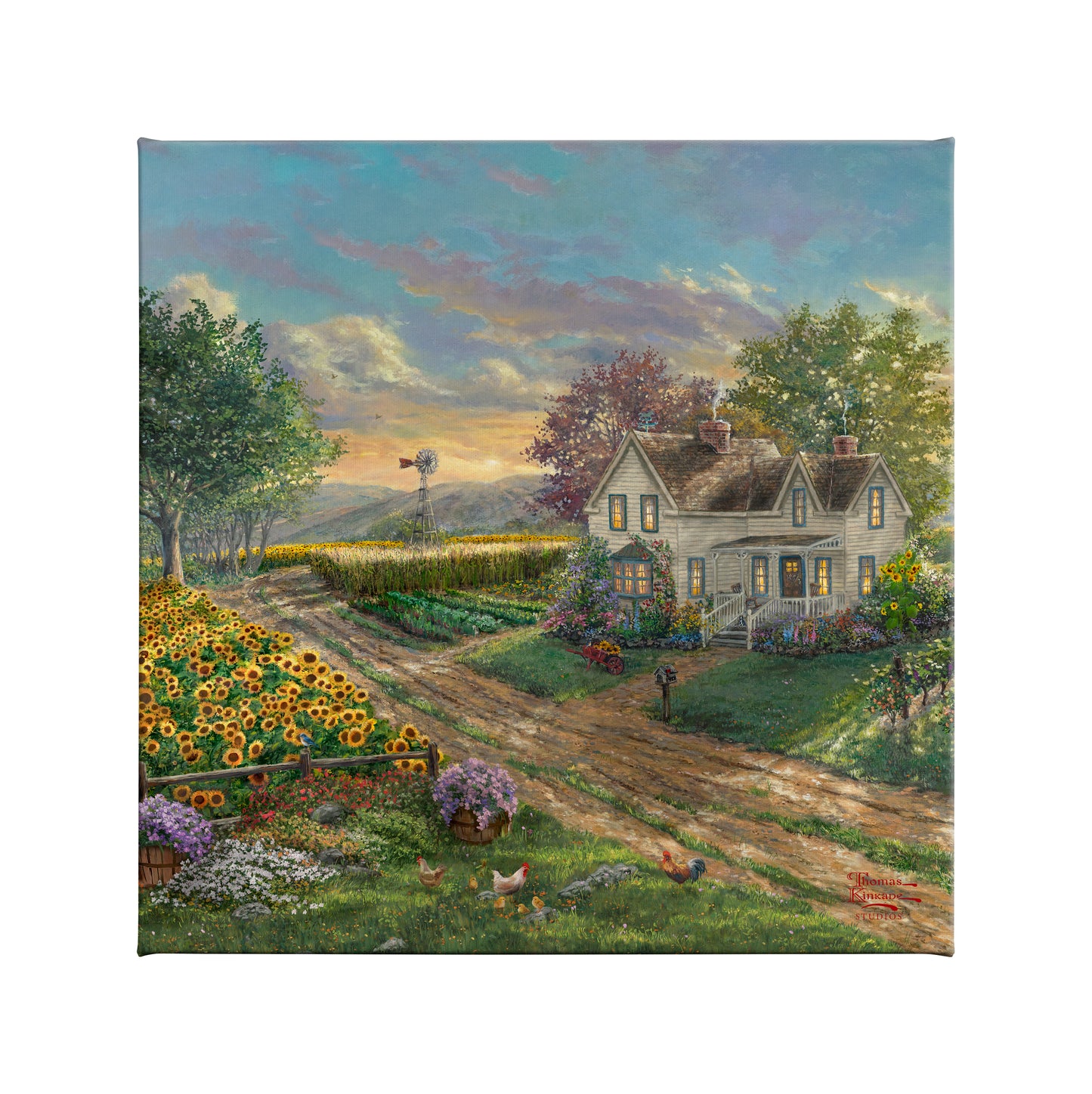 Sunflower Fields - 14" x 14" Gallery Wrapped Canvas