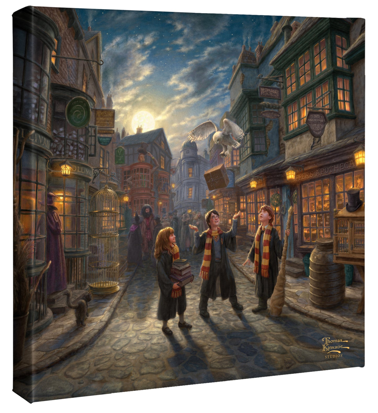 Harry Potter™ Diagon Alley™ - 14" x 14" Gallery Wrapped Canvas