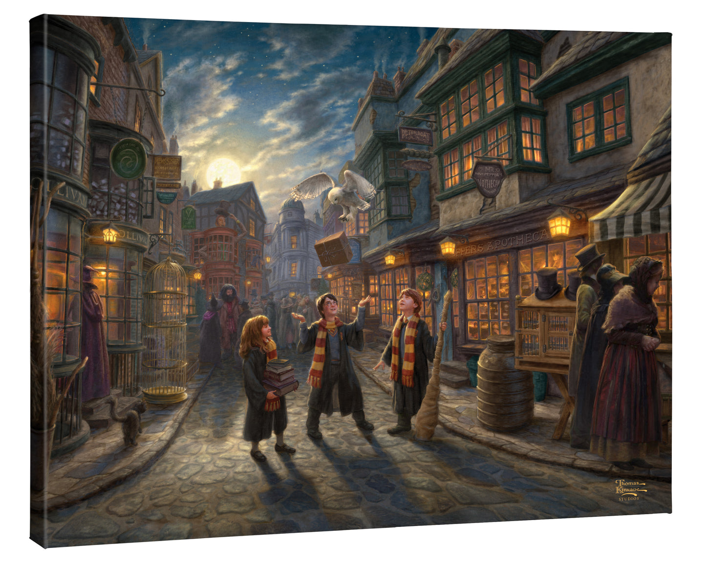Harry Potter™ Diagon Alley™ - 24" x 30" Gallery Wrapped Canvas