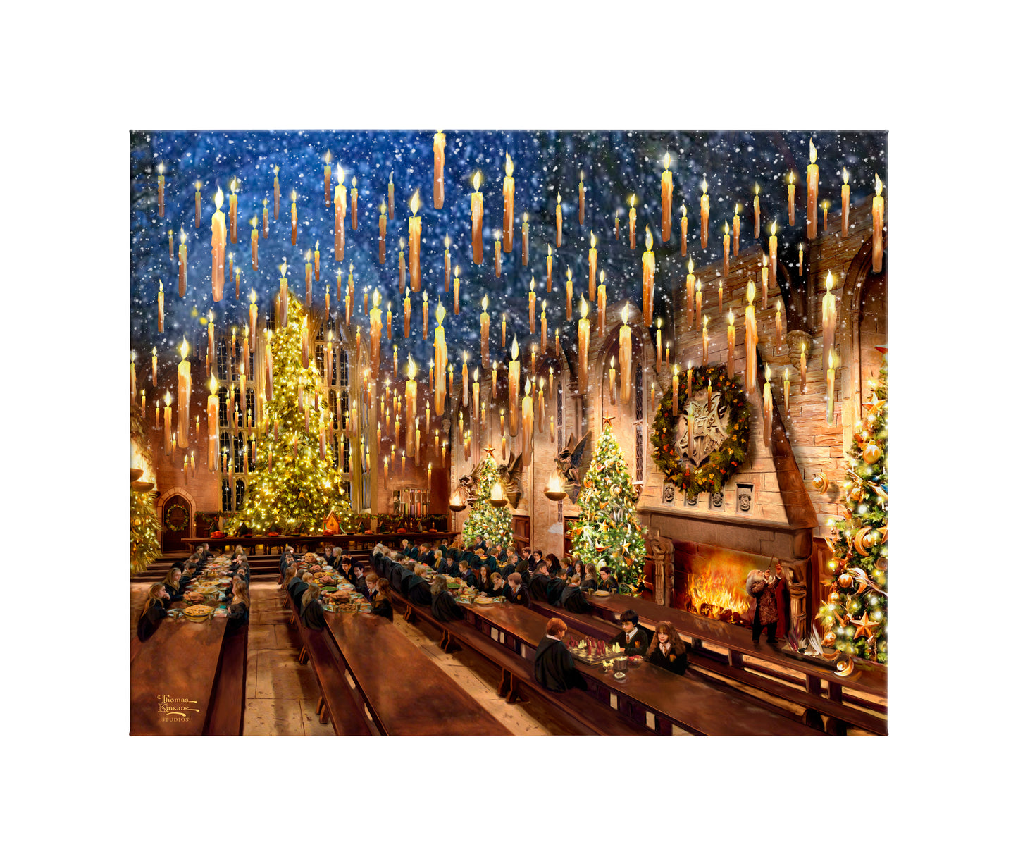 Harry Potter™ Great Hall - 24" x 30" Gallery Wrapped Canvas