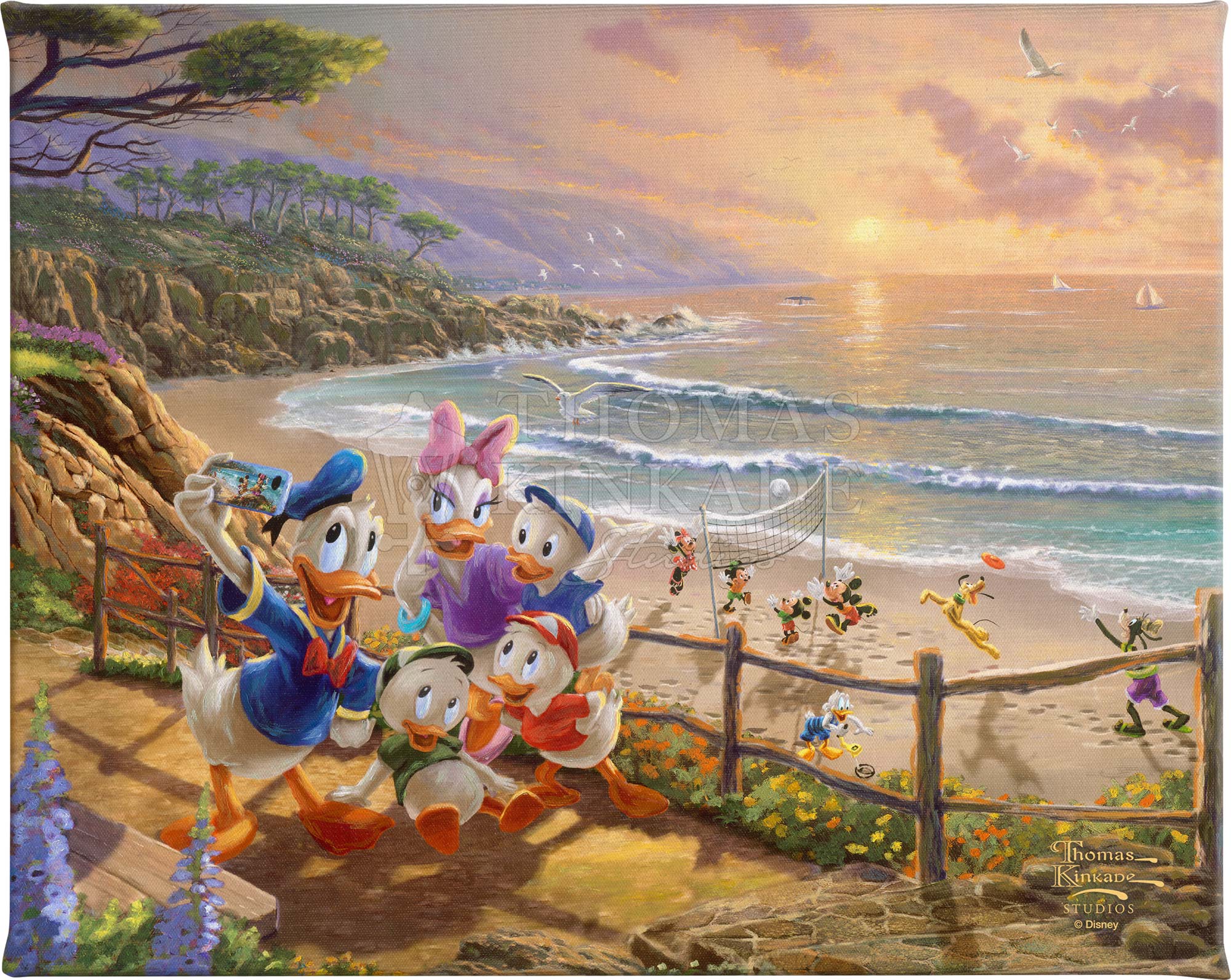Disney Donald Duck Photograph トニーアンセルモ 💙 MGM Disney Cel