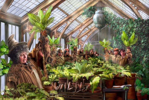 Harry Potter™ Hogwarts™ Greenhouse