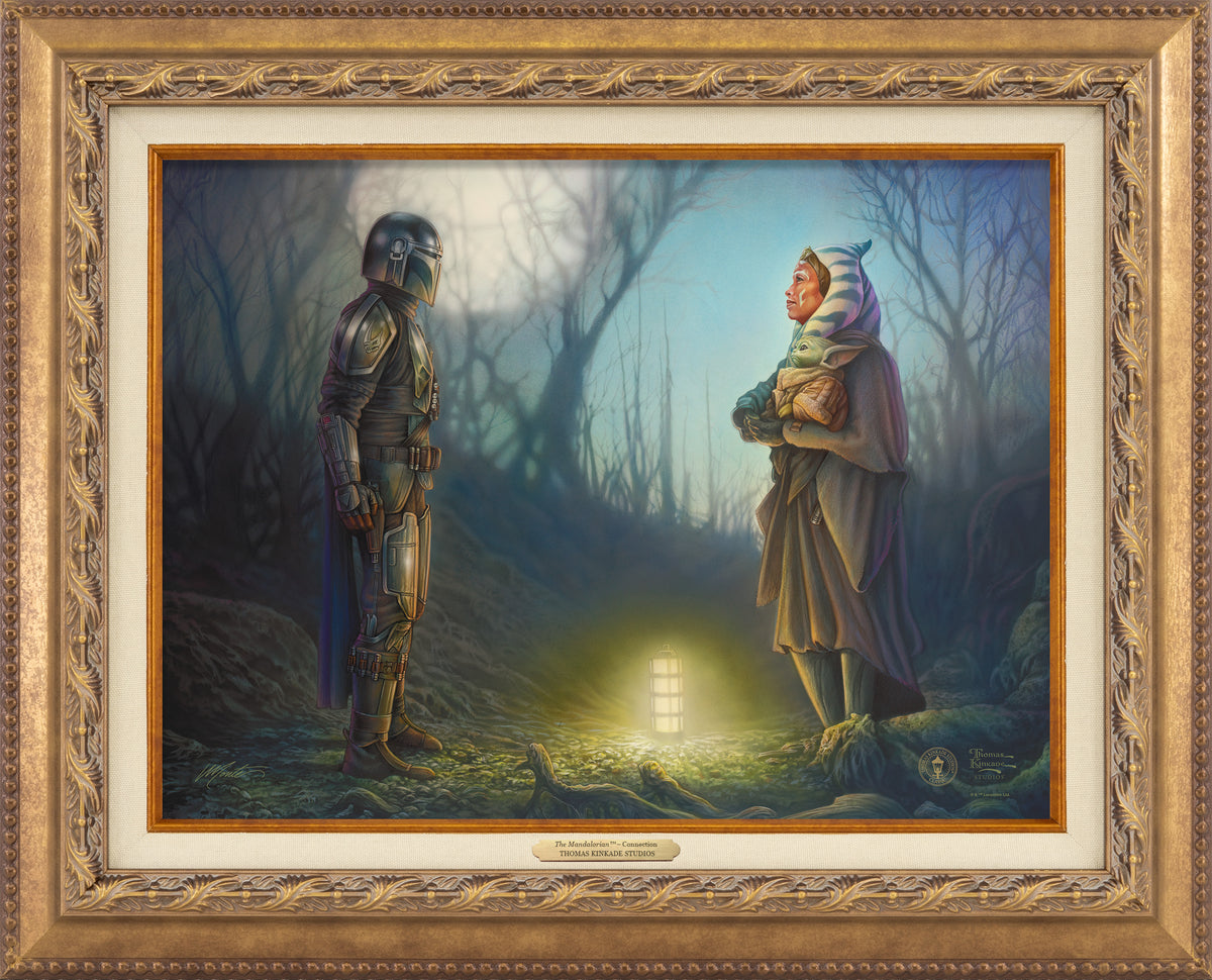 The Mandalorian™ - Connection - Canvas Classics