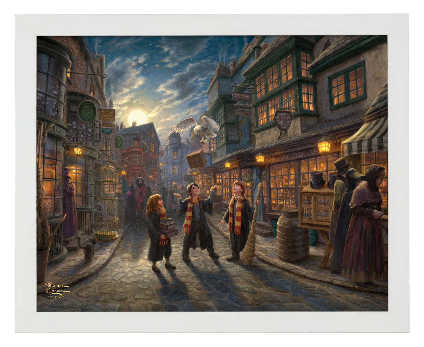 Harry Potter™ Diagon Alley™ - Art Prints
