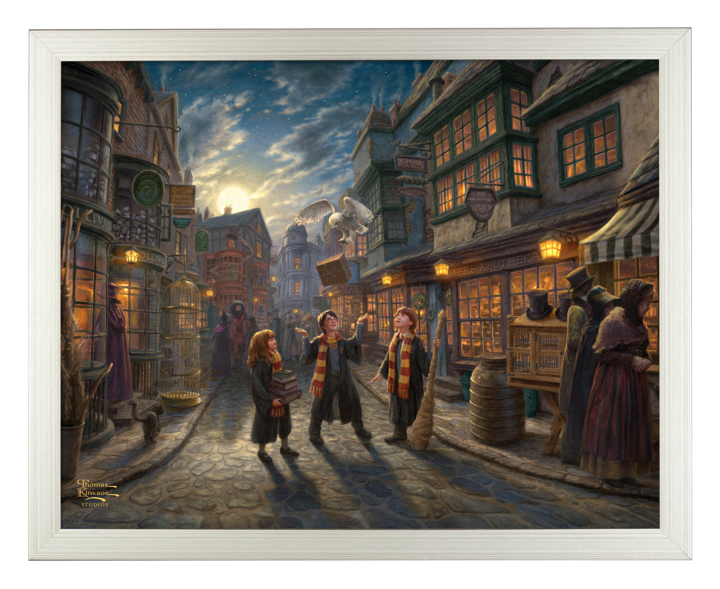 Harry Potter™ Diagon Alley™ - Art Prints