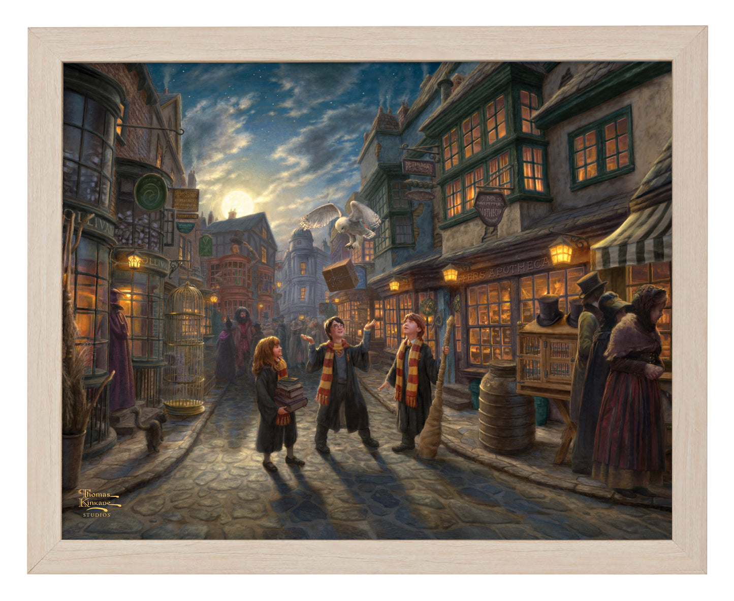 Harry Potter™ Diagon Alley™ - Art Prints