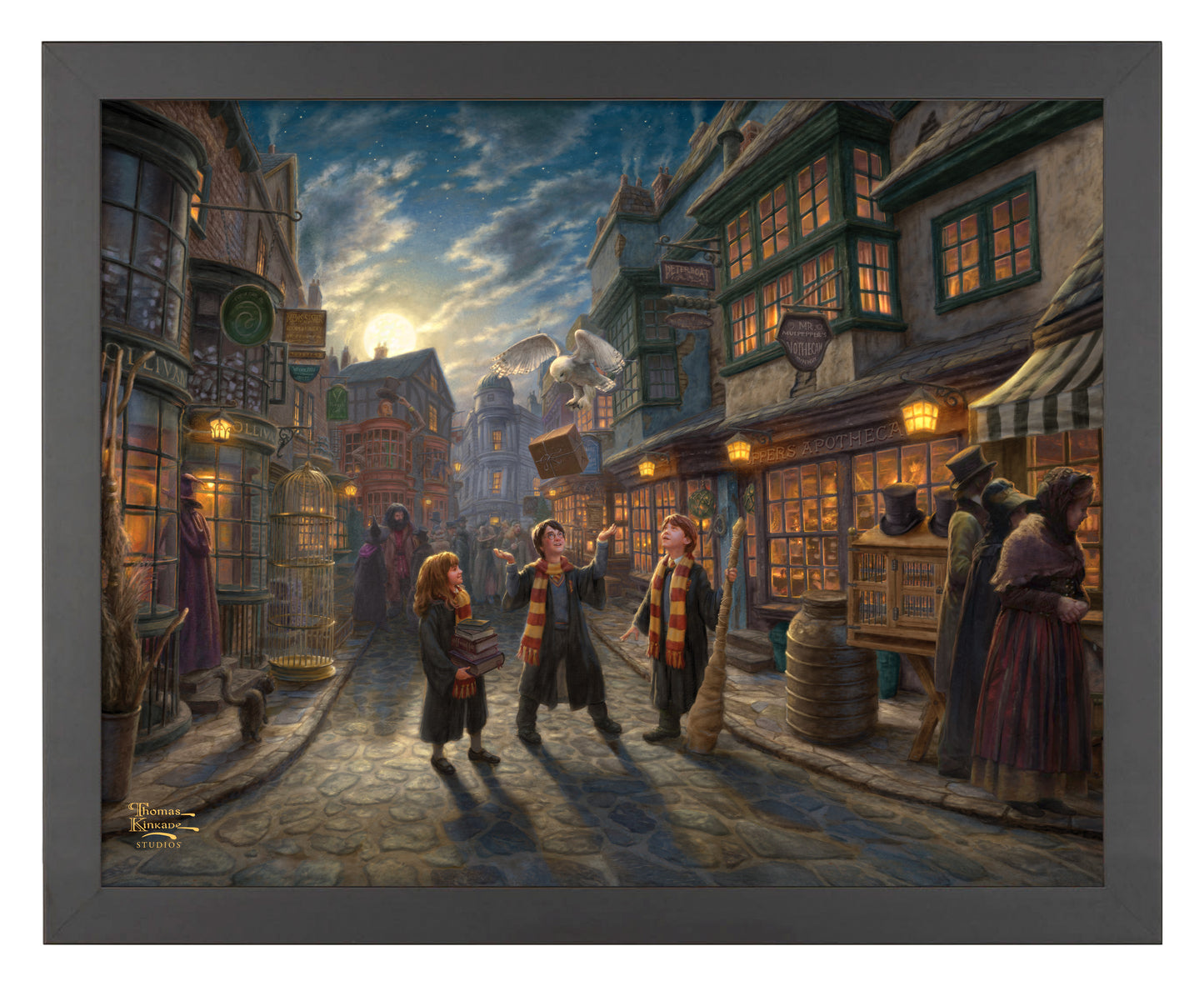Harry Potter™ Diagon Alley™ - Art Prints