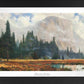 Yosemite Meadow - Limited Edition Paper