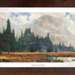 Yosemite Meadow - Limited Edition Paper
