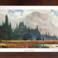Yosemite Meadow - Limited Edition Paper