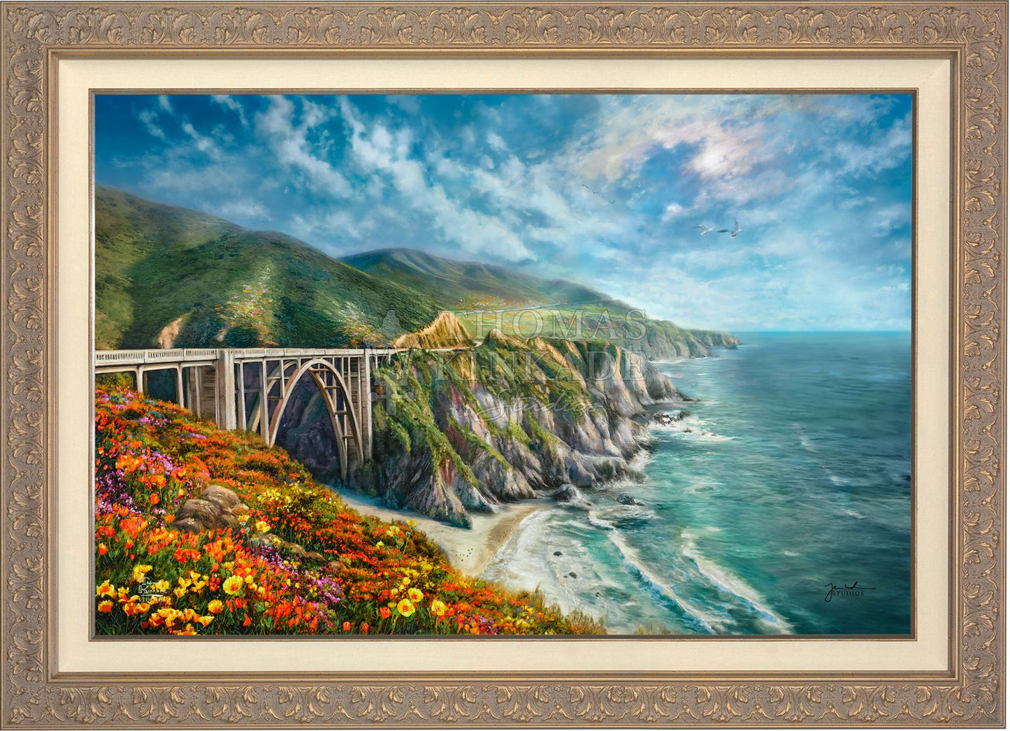 canvas_bigsur_carisa.jpg