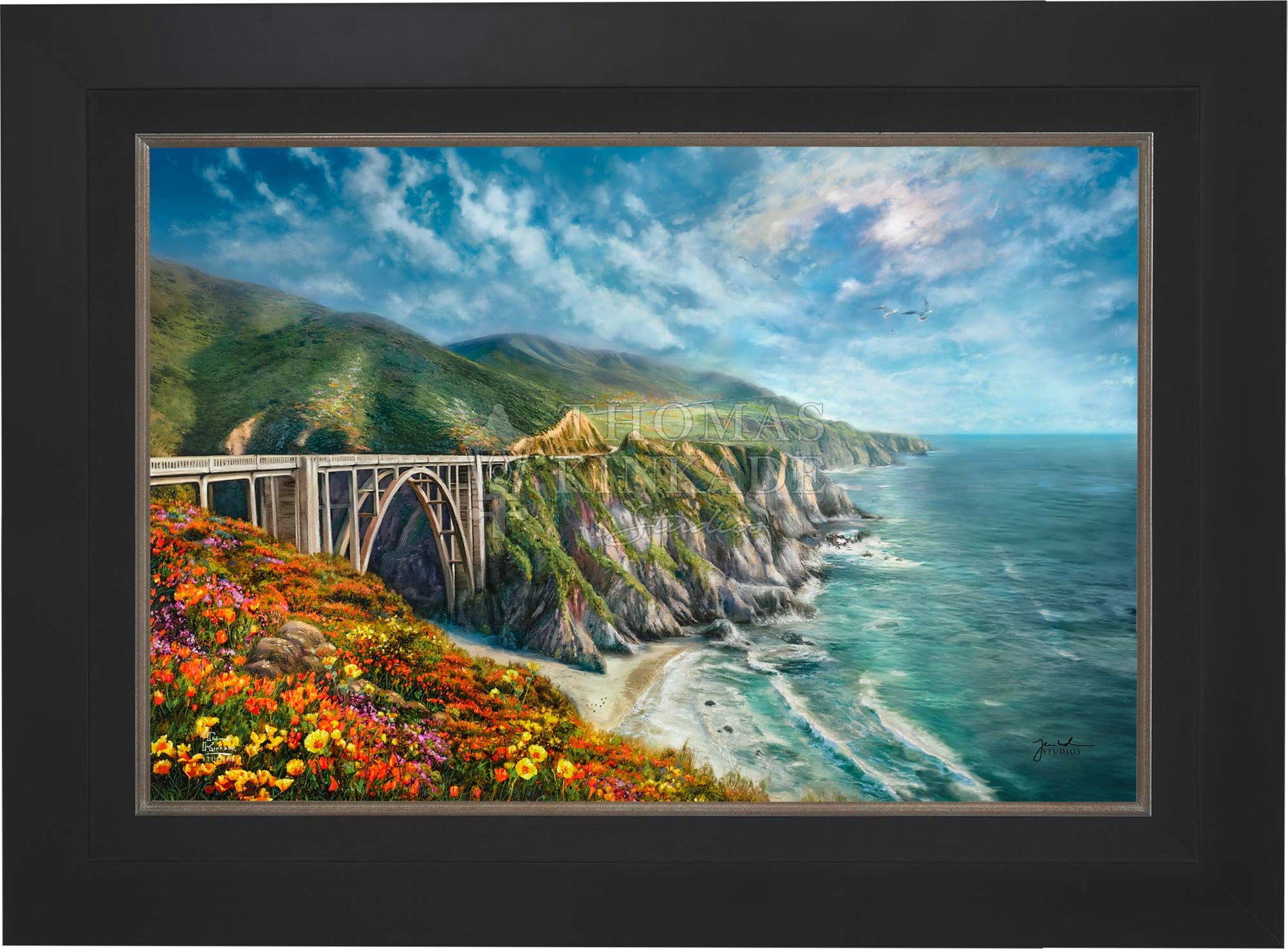 canvas_bigsur_citblk.jpg