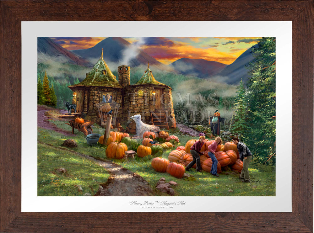 Harry Potter™ Hagrid's Hut - Limited Edition Paper