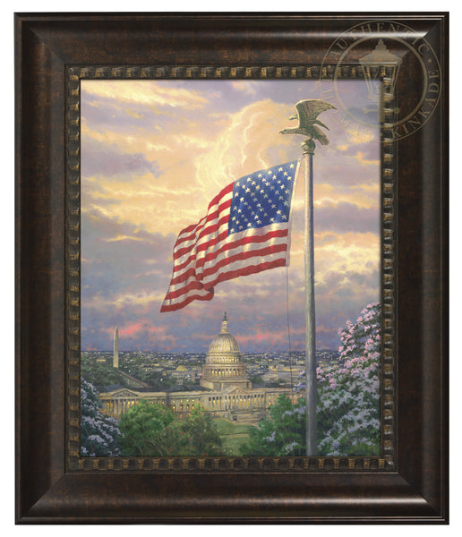 amepri_83239_61768eb5-78e9-