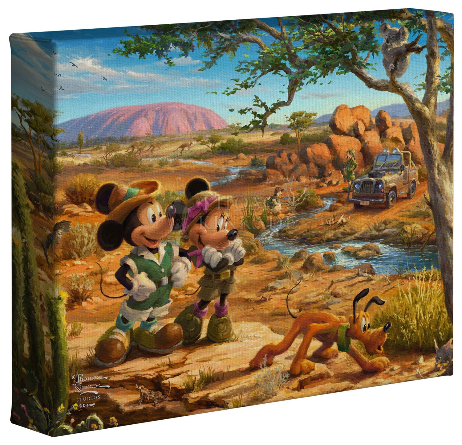 Disney Mickey and Minnie in the Outback - 8